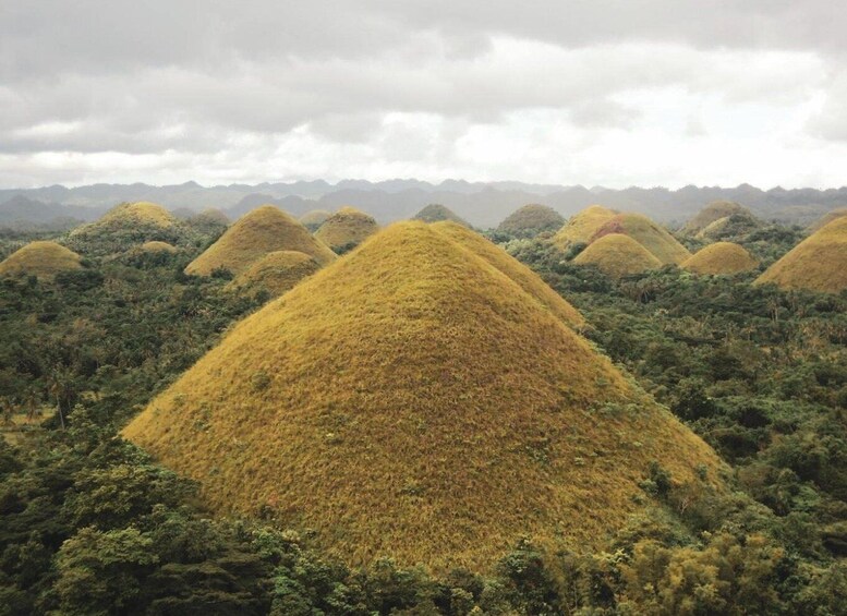 Picture 3 for Activity Chocolate hills Bohol Private tour