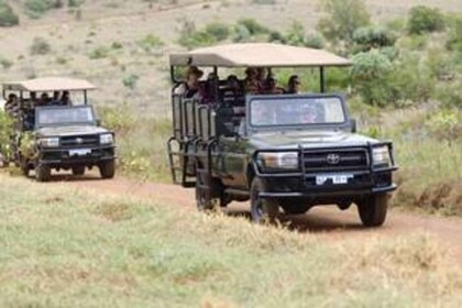 Game Drive (min. 2 pax)