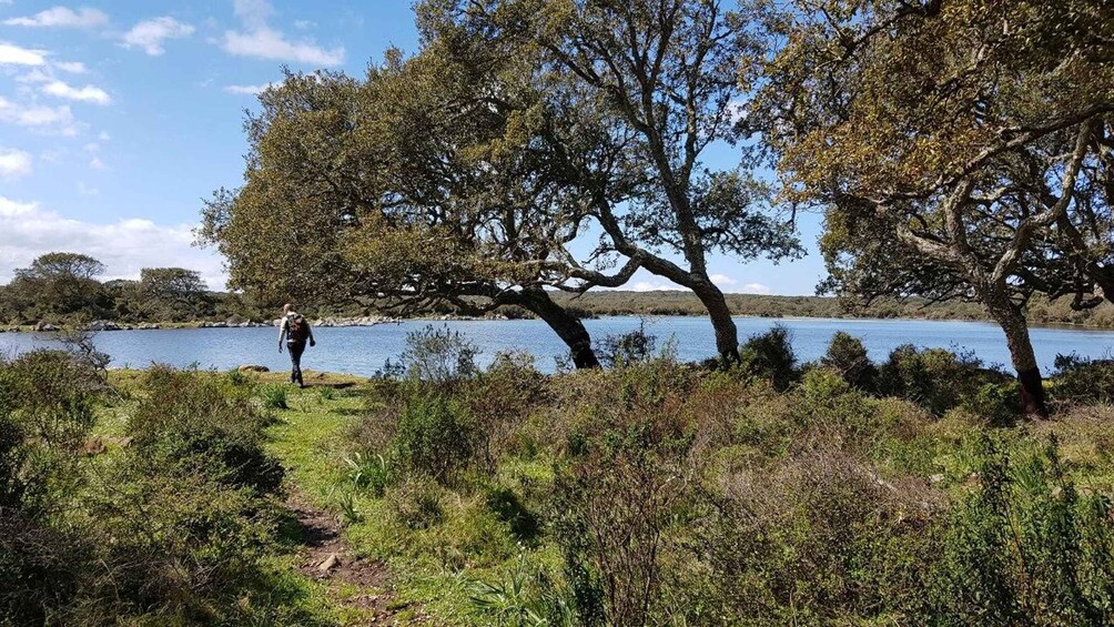 Picture 10 for Activity Nuraghe Barumini tour & Giara Natural park with wine tasting