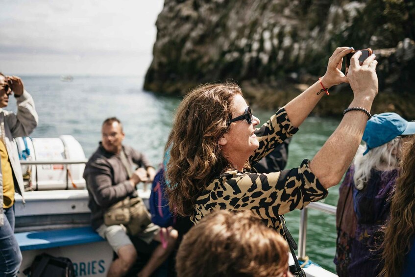 Picture 1 for Activity Dublin: Howth Coastal Boat Tour