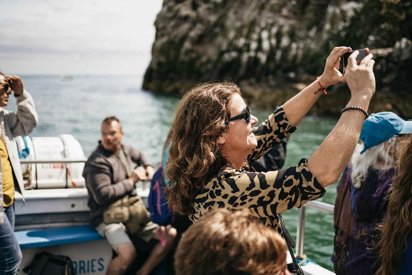 Picture 1 for Activity Dublin: Howth Coastal Boat Tour
