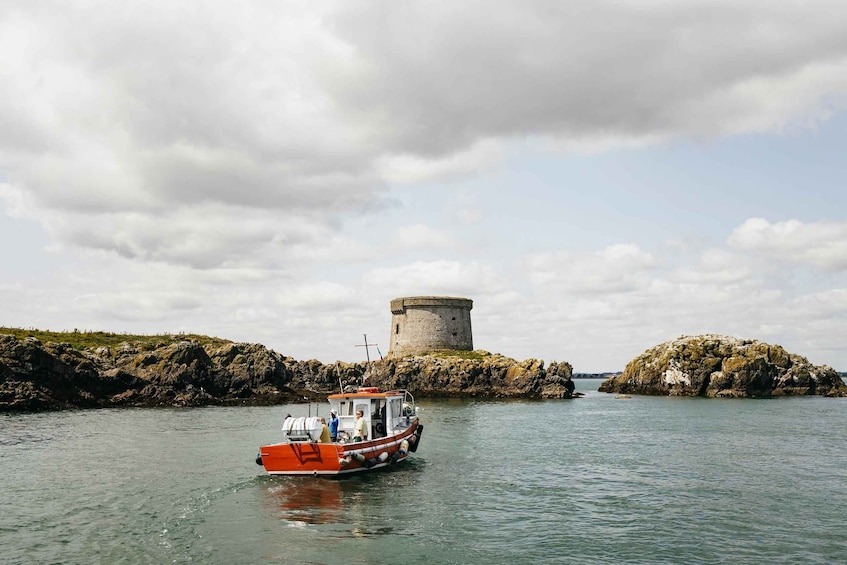 Picture 5 for Activity Dublin: Howth Coastal Boat Tour