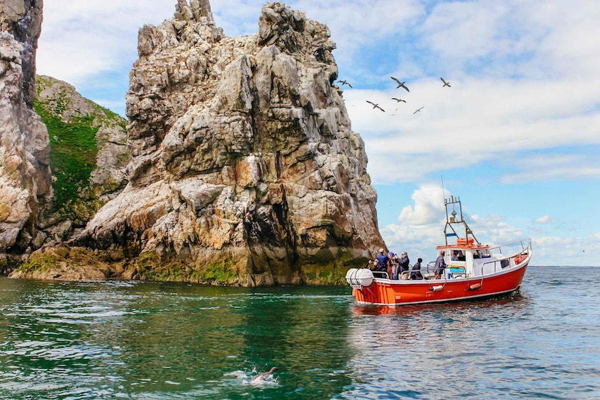 Dublin: Howth Coastal Boat Tour