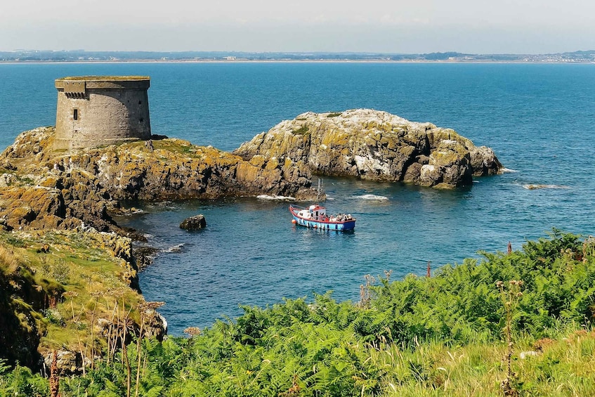 Picture 14 for Activity Dublin: Howth Coastal Boat Tour