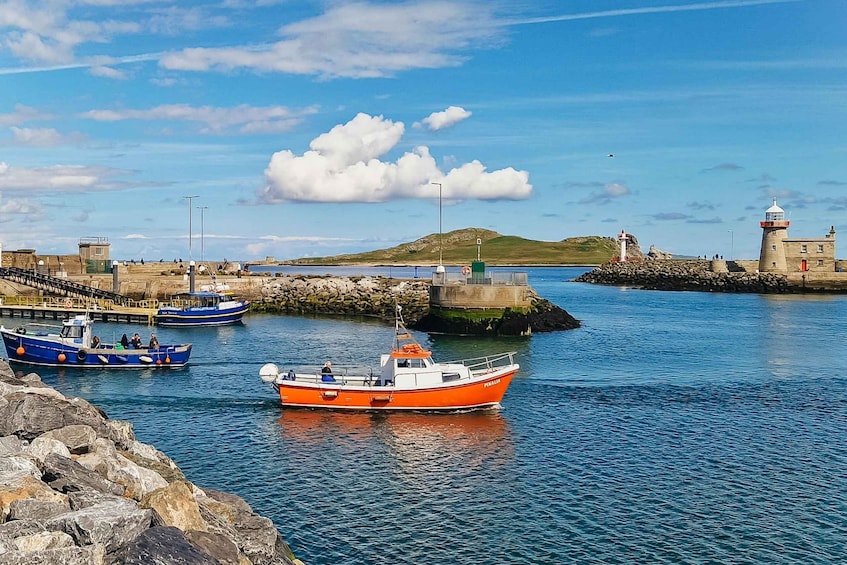 Picture 13 for Activity Dublin: Howth Coastal Boat Tour