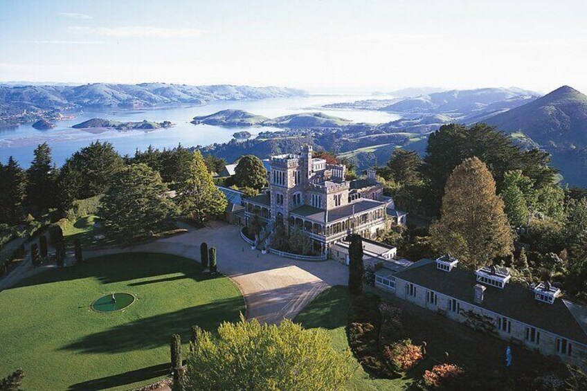 Otago Peninsula Tour and Larnach Castle City Sights (min 4 )