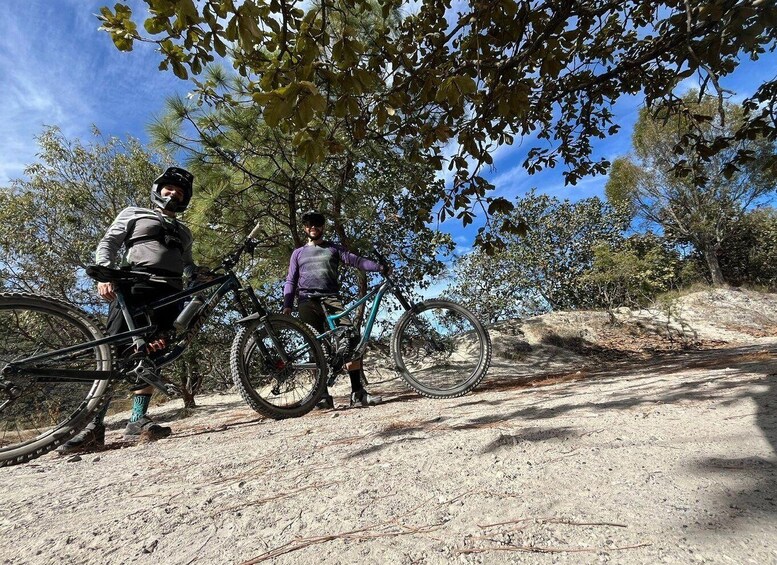 Picture 16 for Activity Guadalajara: La Primavera Forest 25-km Mountain Biking Tour