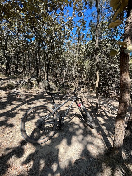 Picture 7 for Activity Guadalajara: La Primavera Forest 25-km Mountain Biking Tour