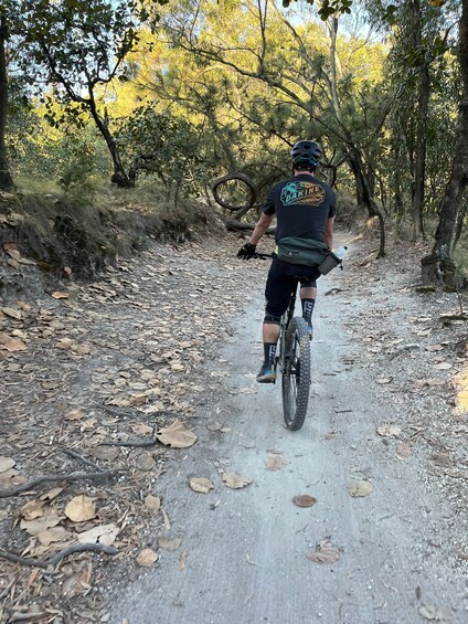 Picture 3 for Activity Guadalajara: La Primavera Forest 25-km Mountain Biking Tour