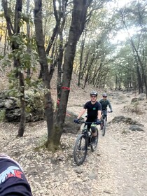 Guadalajara: recorrido en bicicleta de montaña de 25 km por el bosque de La...