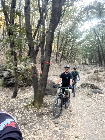 Guadalajara: La Primavera Forest 25-km Mountain Biking Tour