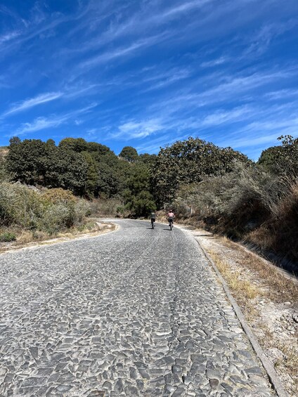 Picture 2 for Activity Guadalajara: La Primavera Forest 25-km Mountain Biking Tour