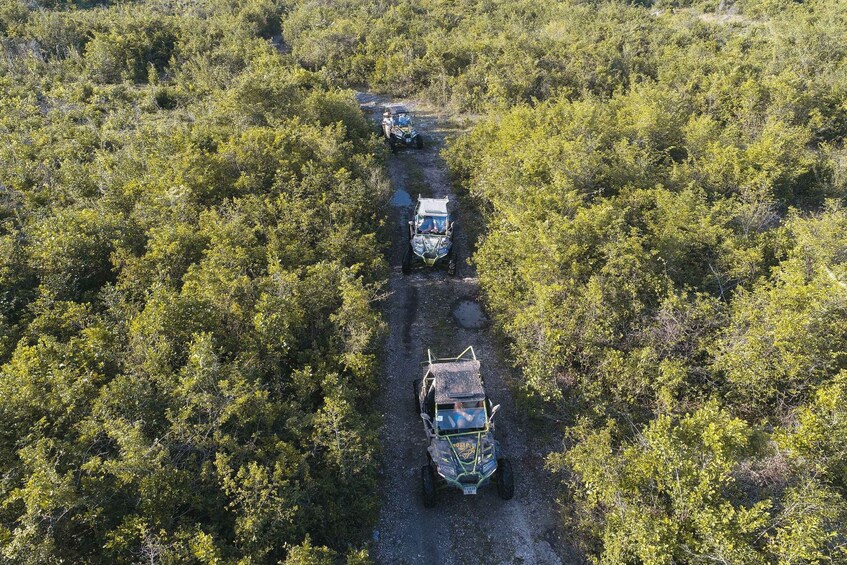 Picture 7 for Activity Zanzibar Ultimate Buggy Adventure