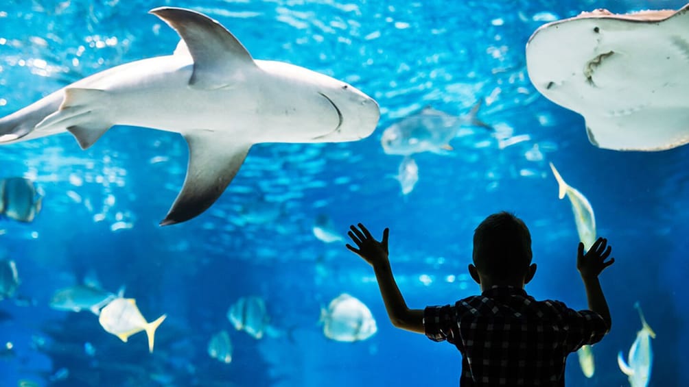 Go City: Philadelphia Explorer Pass - Choose 3 to 7 Attractions