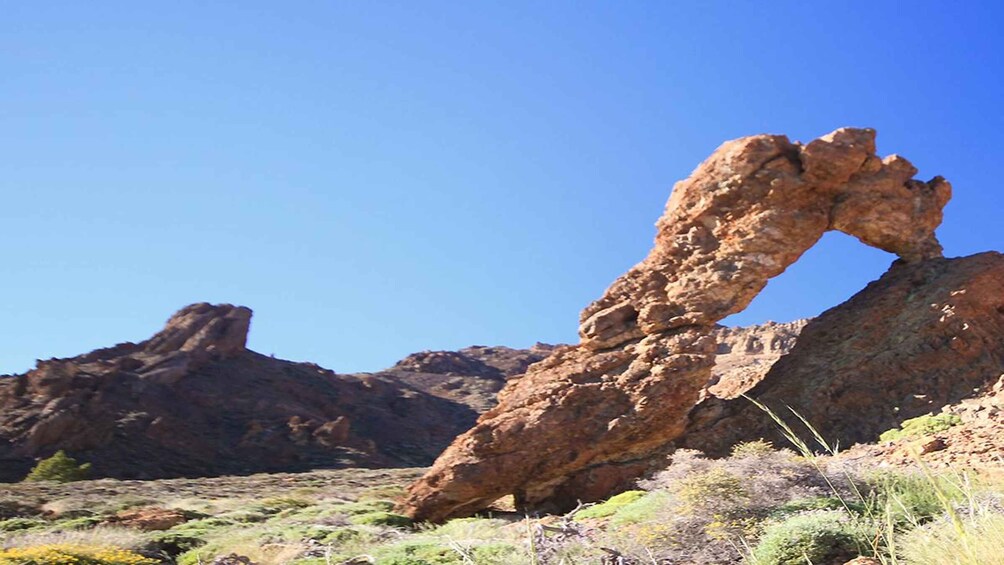 Picture 6 for Activity Tenerife: Teide National Park Guided Full-Day Trip by Bus