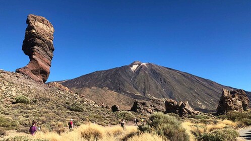 Tenerife: Guidet heldagstur med buss til Teide nasjonalpark