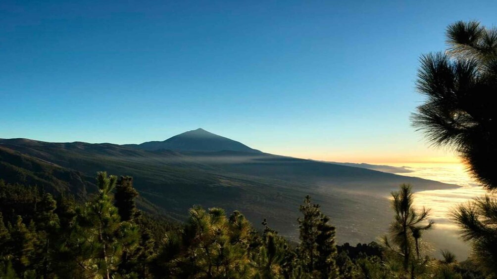 Picture 4 for Activity Tenerife: Teide National Park Guided Full-Day Trip by Bus