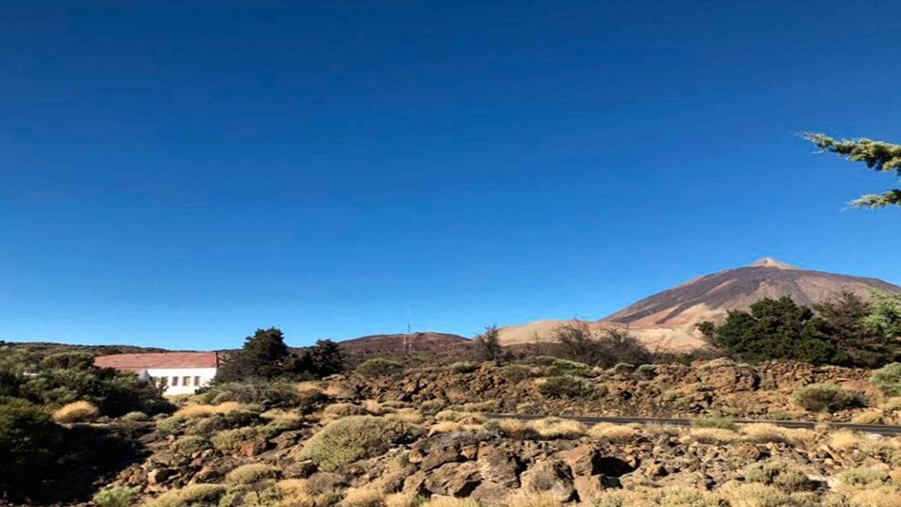 Picture 5 for Activity Tenerife: Teide National Park Guided Full-Day Trip by Bus