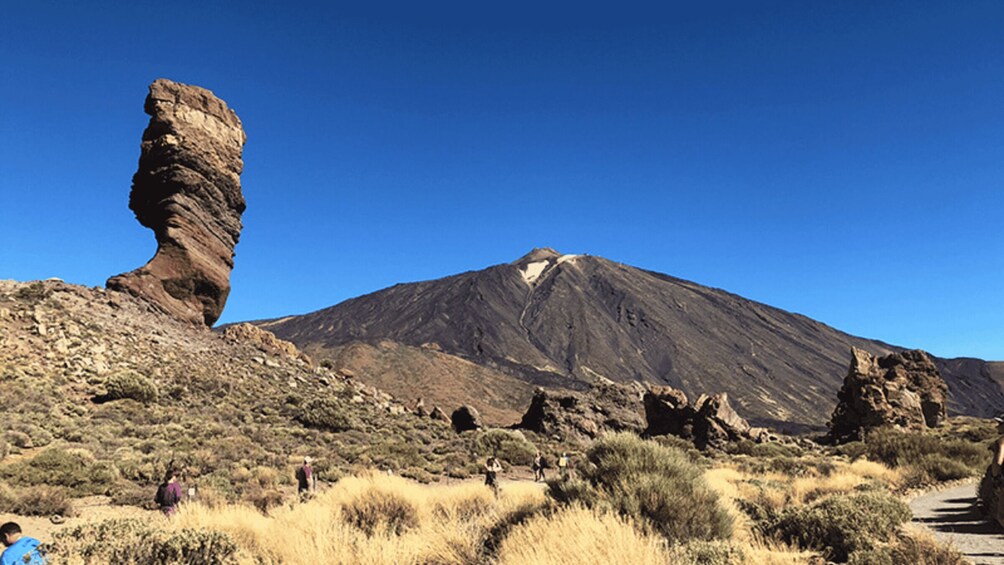 Tenerife: Teide National Park Guided Full-Day Trip by Bus