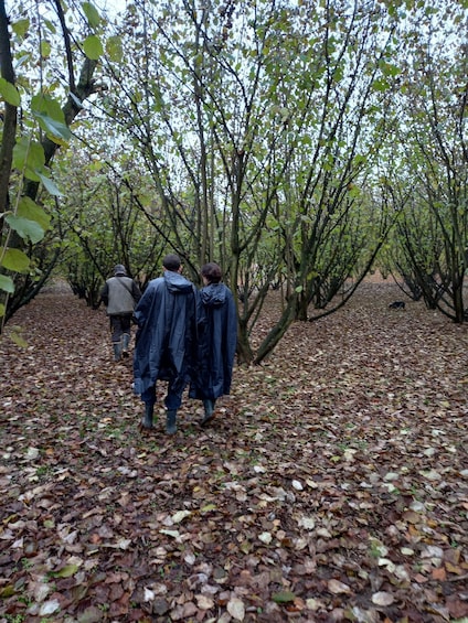 Picture 11 for Activity Langhe: Truffle Hunting Experience