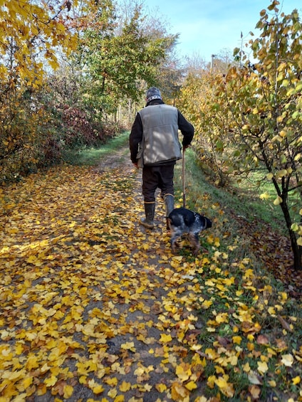 Picture 8 for Activity Langhe: Truffle Hunting Experience