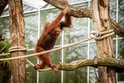 Malinas: entrada al zoológico de Planckendael