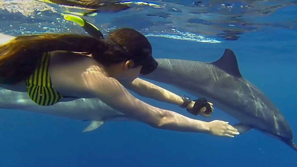 Picture 2 for Activity From Nungwi : Mnemba Boat Trip and Dolphin Snorkel Adventure