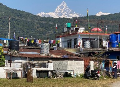 Full Day Tibetan Cultural Tour