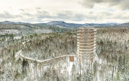 Mont-Tremblant: Laurentians Treetop Observatory and Walk