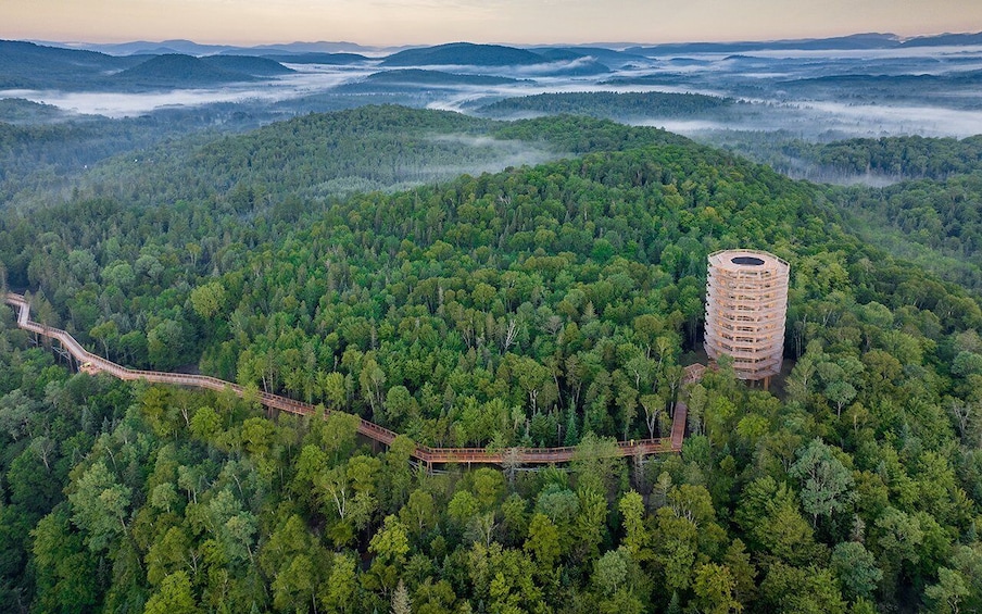 Picture 6 for Activity Mont-Tremblant: Laurentians Treetop Observatory and Walk