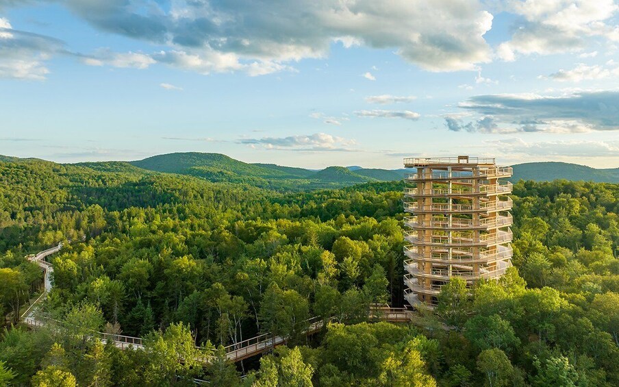 Picture 3 for Activity Mont-Tremblant: Laurentians Treetop Observatory and Walk