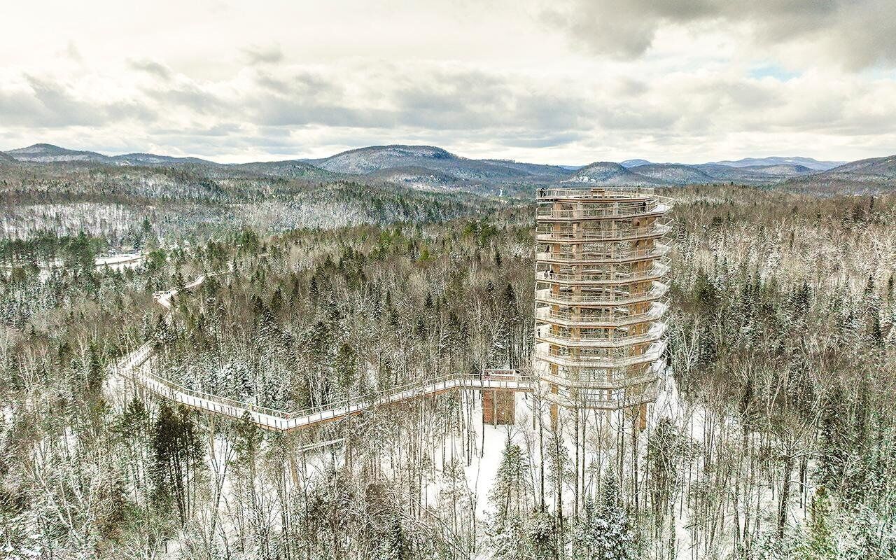 Sentier des cimes Laurentides: Treetop Observatory & Walk