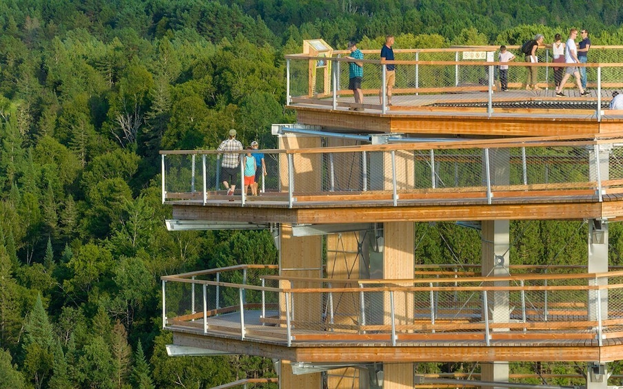 Picture 4 for Activity Mont-Tremblant: Laurentians Treetop Observatory and Walk