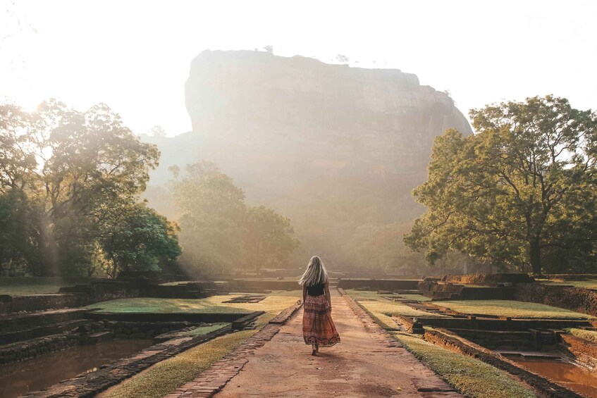 Picture 3 for Activity Sigiriya and Dambulla Day Tour from Hikkaduwa