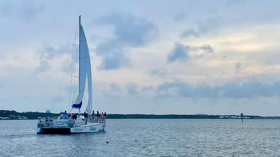 Orange Beach: Sun and Sailing Cruise aboard Catamaran