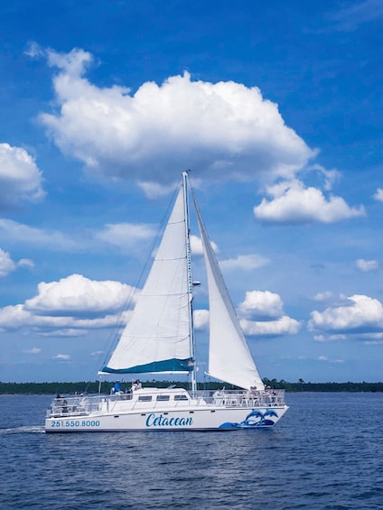Picture 1 for Activity Orange Beach: Sun and Sailing Cruise aboard Catamaran