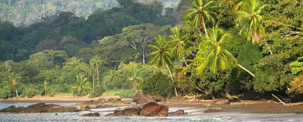 Picture 8 for Activity Drake Bay: Explore Drake Bay as a Local Beach Hike Guided