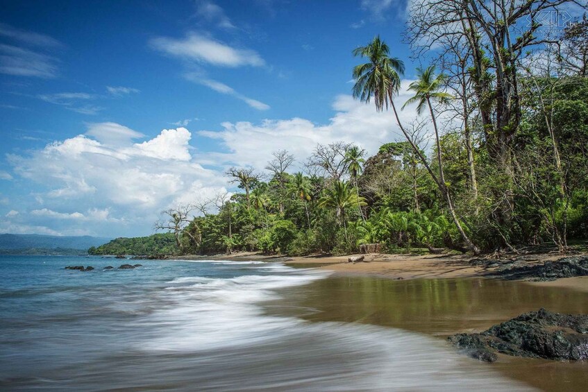 Picture 2 for Activity Drake Bay: Explore Drake Bay as a Local Beach Hike Guided