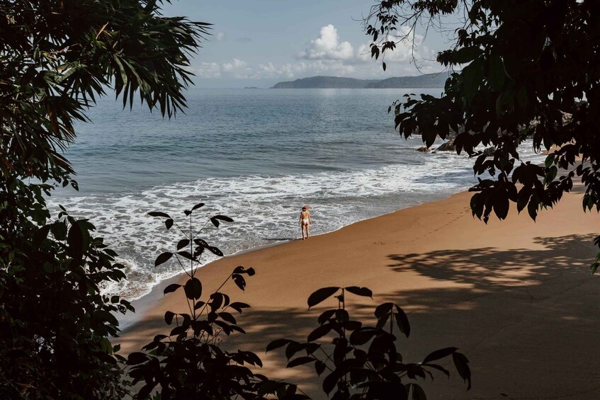 Picture 1 for Activity Drake Bay: Explore Drake Bay as a Local Beach Hike Guided