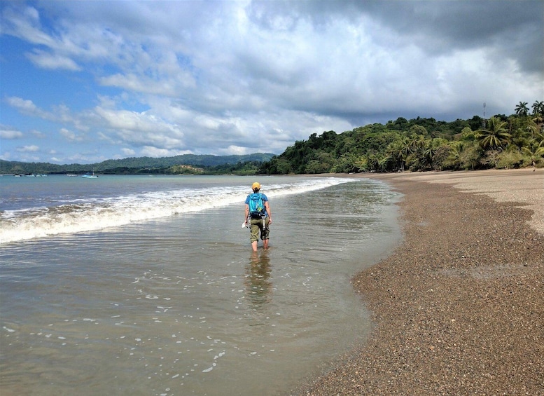 Picture 17 for Activity Drake Bay: Explore Drake Bay as a Local Beach Hike Guided