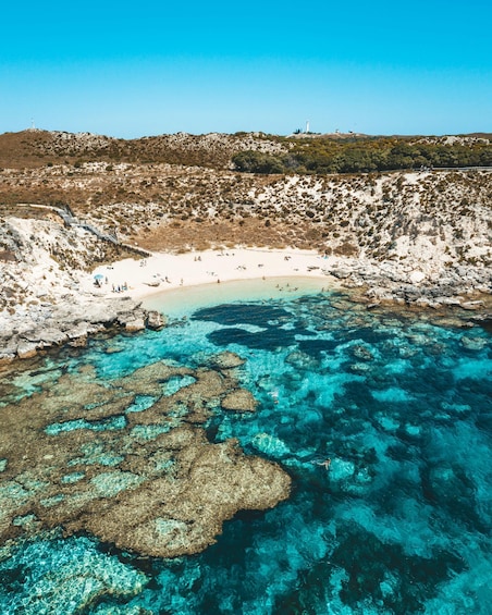 Picture 2 for Activity Perth: One Way Flight Transfer to or from Rottnest Island