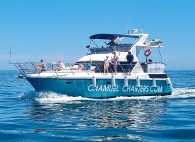 Fuengirola : Yacht de repérage des dauphins excursion avec boissons et snac...