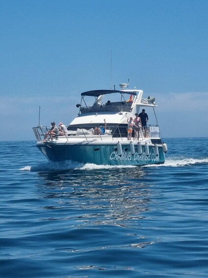 Picture 3 for Activity Fuengirola: Dolphin Spotting Yacht Tour with Drinks & Snacks