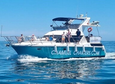 Fuengirola: Dolphin Spotting Yacht Tour with Drinks & Snacks