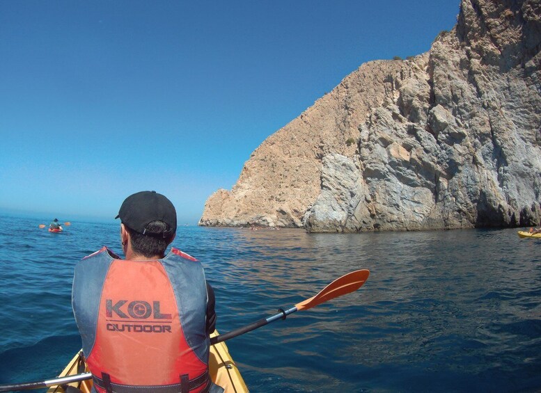 Picture 10 for Activity From La Herradura: Maro Cerro Gordo Kayak Tour