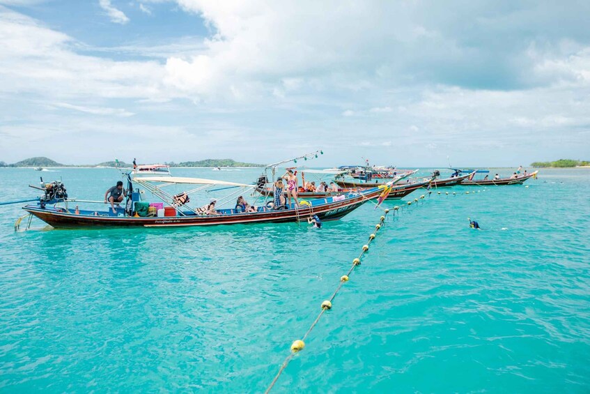 Picture 11 for Activity Koh Samui: Pink Dolphin Spotting & Pig Island Speedboat Tour