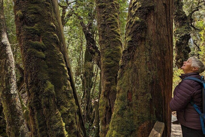 West Coast Tasmania