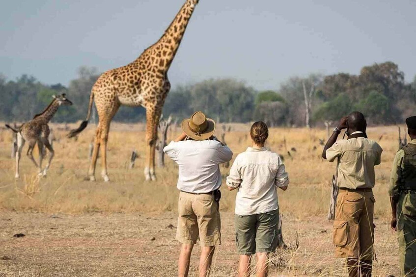 Full day trip in saadani national park