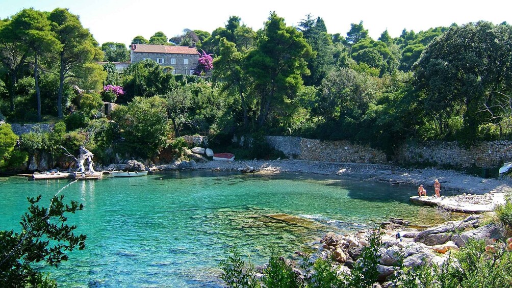 Picture 4 for Activity Dubrovnik: Blue Cave and Elafit Small Group Boat Exploration