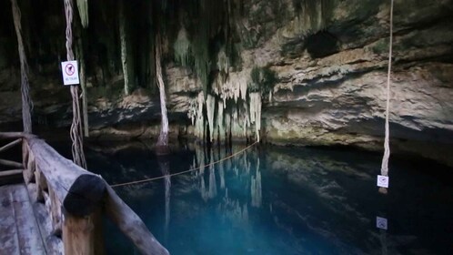 メリダからセノーテ・デ・サンタ・バーバラへの日帰り旅行と食事